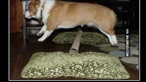 Preview image for post: Reach Your Goals in 2024 with These Goals Memes